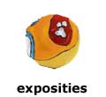 exposities